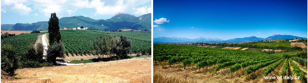velenosi vini vinice